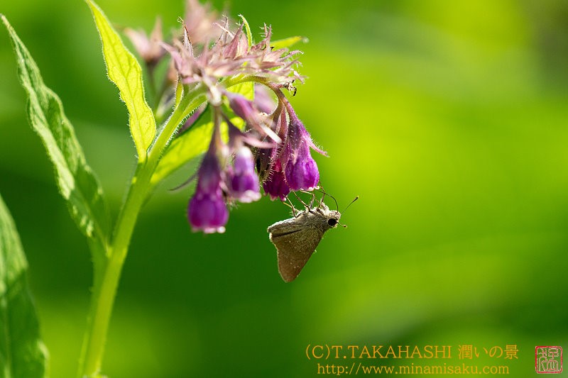 ../Images/7R241013 (125).jpg